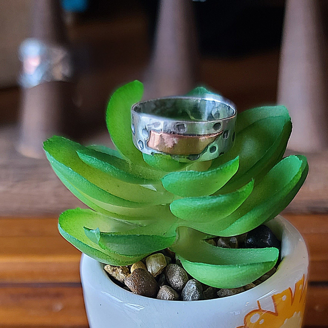 Silver & Copper Tennessee Ring